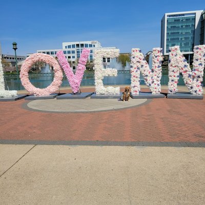 City Center Oyster Point sebagai Landmark Kawasan Perkotaan yang Terencana